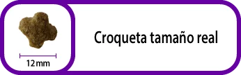 PIENSO PARA GATOS NUTRIBEST CAT CHICKEN & RICE 15Kg - Imagen 2