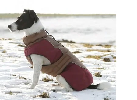 ABRIGO PARA PERROS ROYAL