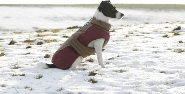 ABRIGO PARA PERROS ROYAL - Imagen 4